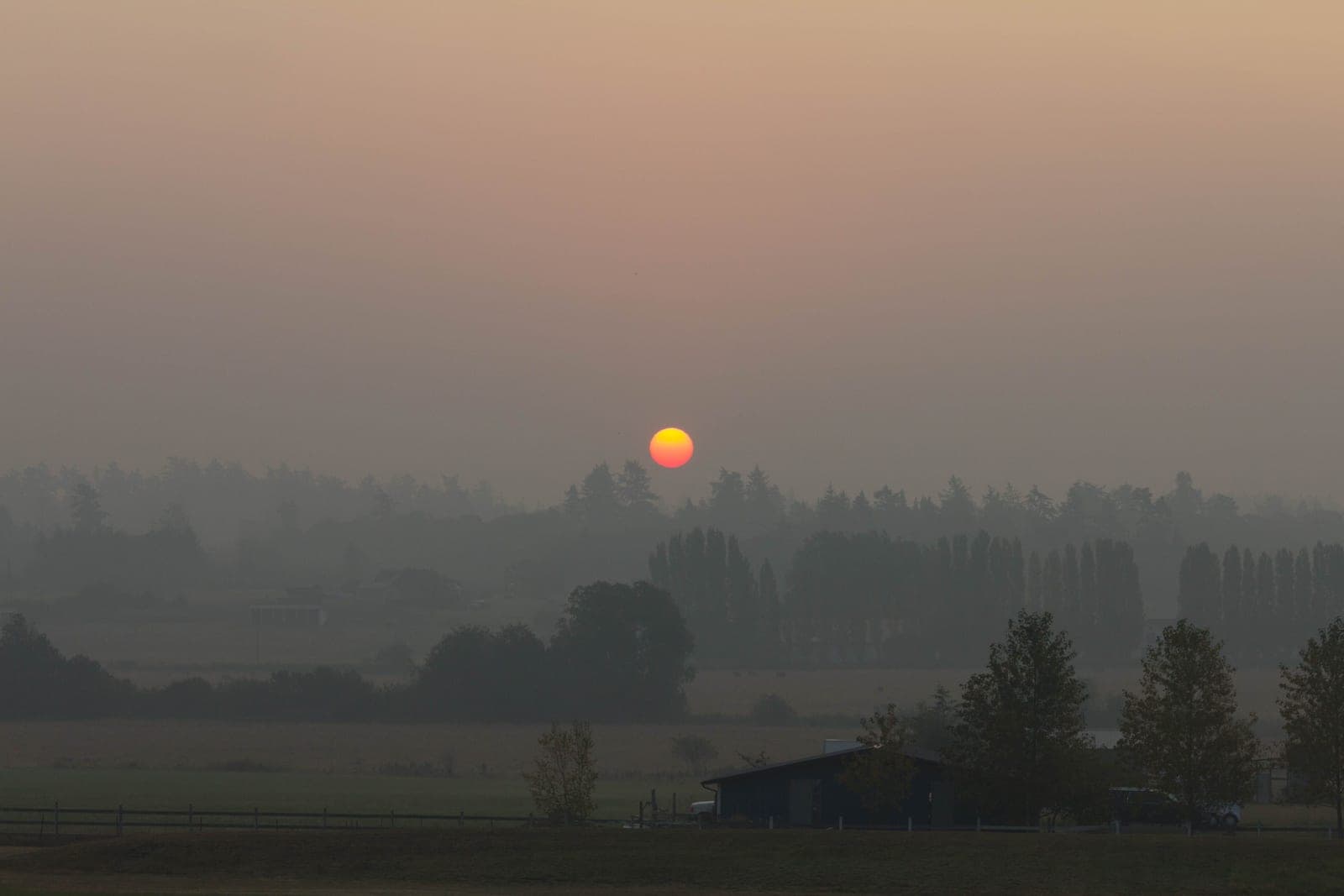 Hazy amber daylight through a closed window during a period of outdoor smoke